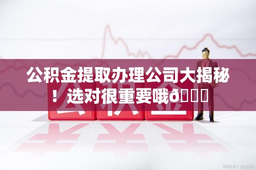 霍邱公积金提取办理公司大揭秘！选对很重要哦😎
